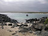 Galapagos 3-1-01 Espanola Punta Suarez Espanola, also known as Hood, is one of the smaller Galapagos Islands measuring 7 by 14 km, and reaching an elevation of just over 200m. It is the oldest and the southernmost island in the chain and a haven for seabirds. The Eden docked at Punta Suarez on the western tip of Espanola.